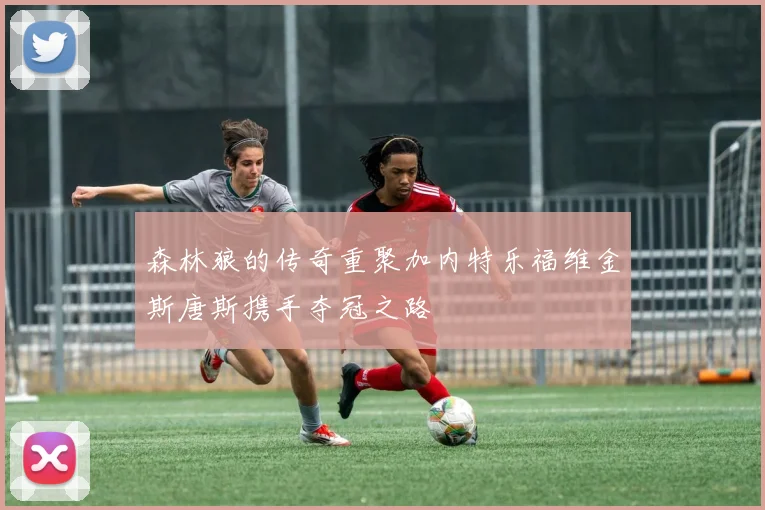 森林狼的传奇重聚加内特乐福维金斯唐斯携手夺冠之路