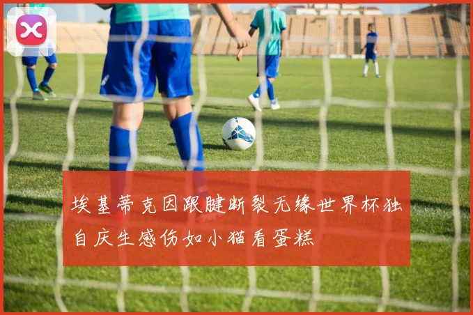 埃基蒂克因跟腱断裂无缘世界杯独自庆生感伤如小猫看蛋糕