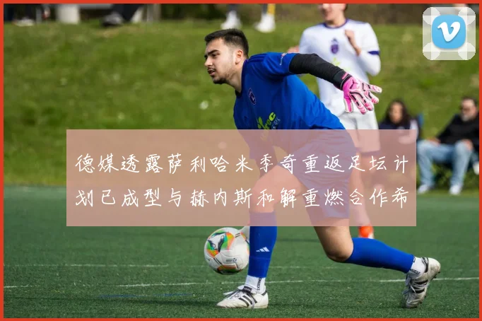 德媒透露萨利哈米季奇重返足坛计划已成型与赫内斯和解重燃合作希望